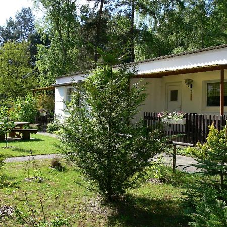 Ferienhaeuser Heideroeslein Fürstenberg-Havel Zewnętrze zdjęcie